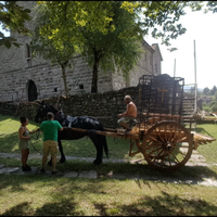 Carro per cavalli