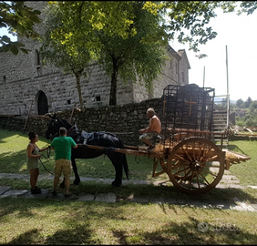 Carro per cavalli