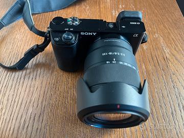 Sony A6000 + 18-135mm F3.5-5.6 OSS