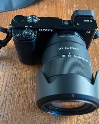 Sony A6000 + 18-135mm F3.5-5.6 OSS