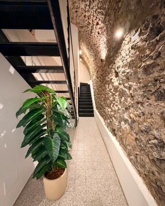 d’Alesio Luxury Home Vietri sul Mare