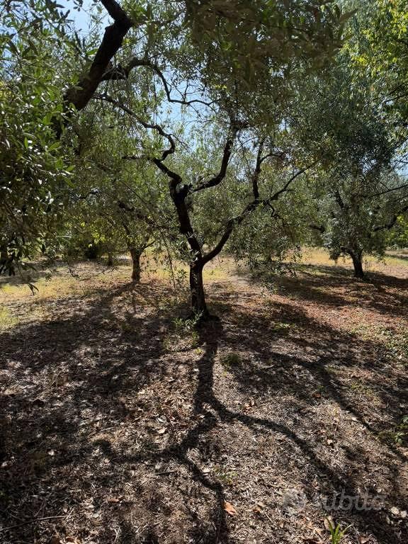 Terreno di 2500 m² a Velletri - Altro