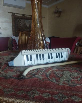 Tastiera ormai Vintage | Bontempi | Da testare