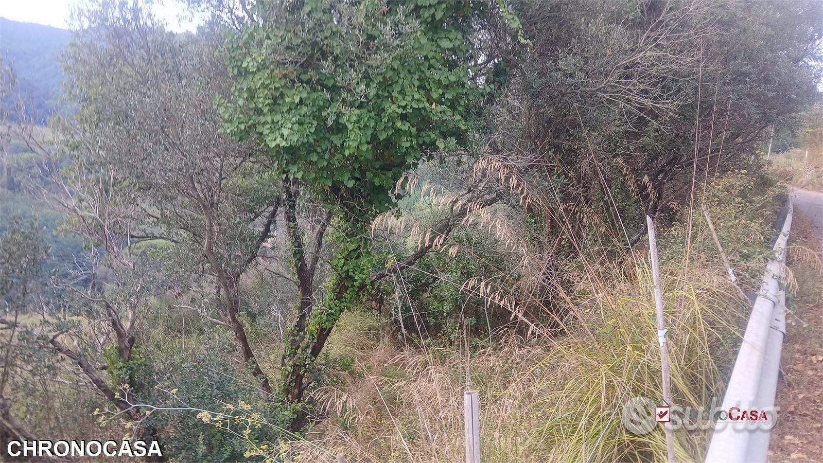 Castanea, terreno con rudere - Vista 5