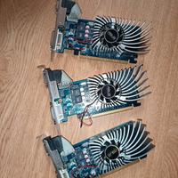 Lotto Schede Video Asus