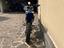 Immagine 4