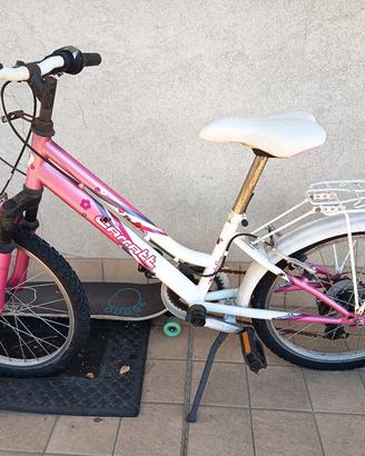 Bicicletta 20 pollici