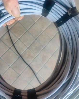 cavo ethernet 