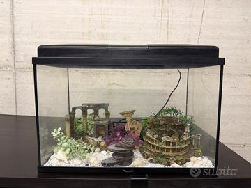 Acquario in vetro