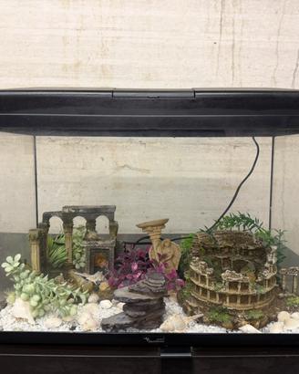 Acquario in vetro