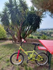 bicicletta bambino da 16