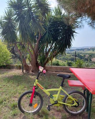 bicicletta bambino da 16