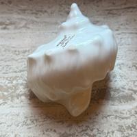 Conchiglia Wedgwood “Naturals Collection”