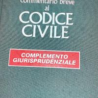 Commentario breve al codice civile