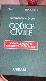 Commentario breve al codice civile