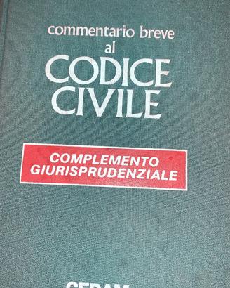 Commentario breve al codice civile