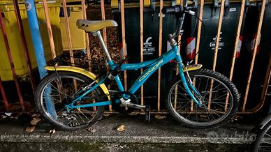 Bicicletta da ragazzi 