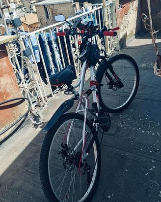 bicicletta 26 sette marce 