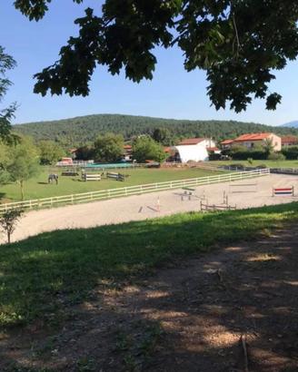 Box cavallo