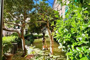 2 LOCALI A ROMA