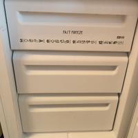 Cassetti Freezer Rex