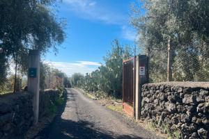 Terreno agricolo pianrggisnte 49-378