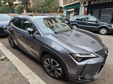 LEXUS UX 250 HIBRID FULL OPTIONAL  ver Business