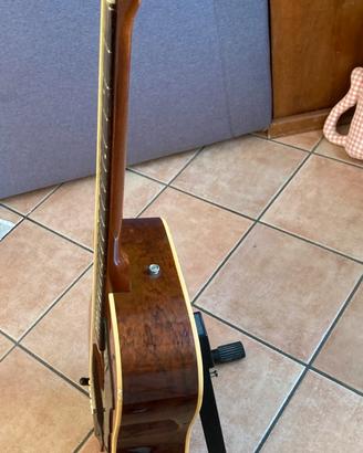 Chitarra acustica eko ranger (1982)