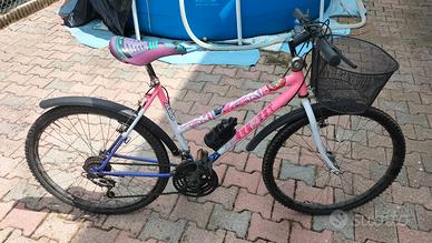 Bicicletta Mountain bike