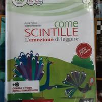 libro letteratura Come scintille volume 1
