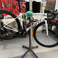 Bici Gant TCR