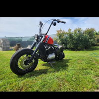 Unica kawasaki vn 800
