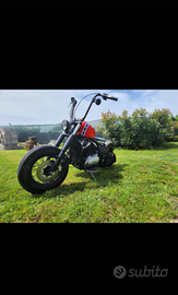 Unica kawasaki vn 800