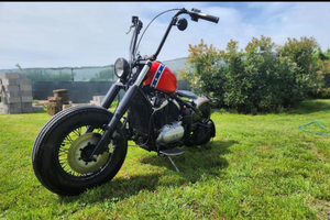 Unica kawasaki vn 800