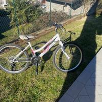 Bicicletta con cambio ruote da 24”
