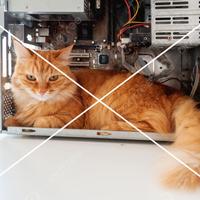 Barebone PC(II)& altre unita' con differenti specs