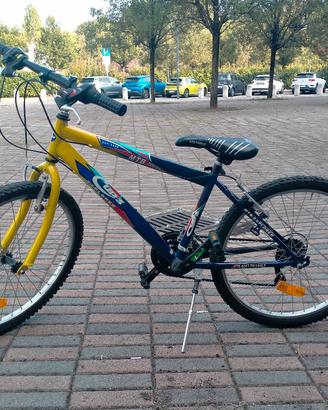 bici ragazzo 24
