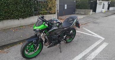 Kawasaki Z 500 - 2024