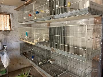 Gabbie sia in blocco che singole