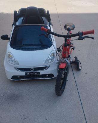 Bici e macchina elettrica
