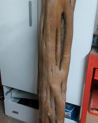 Tronchi in Legno di Ginepro