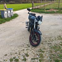 Suzuki  gsf 650 Bandit