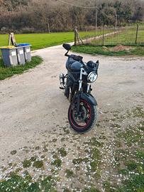 Suzuki  gsf 650 Bandit