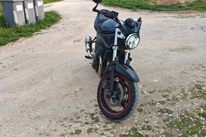 Suzuki  gsf 650 Bandit