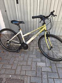 Mountain bike raggio 26 