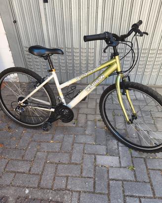Mountain bike raggio 26 