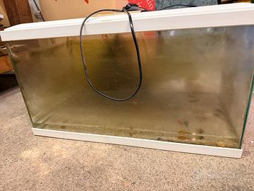 Acquario ciano 60l solo da pulire