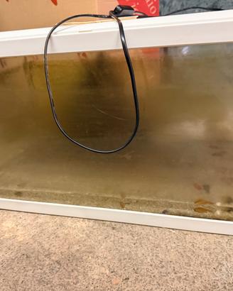 Acquario ciano 60l solo da pulire