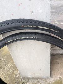 Copertoni MTB Vittoria terreno DRY