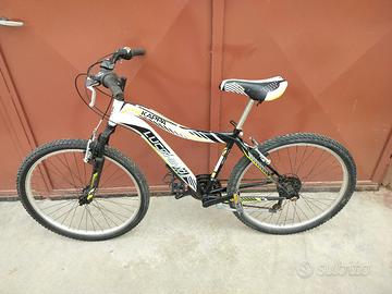 Arrampichino Lucchino 